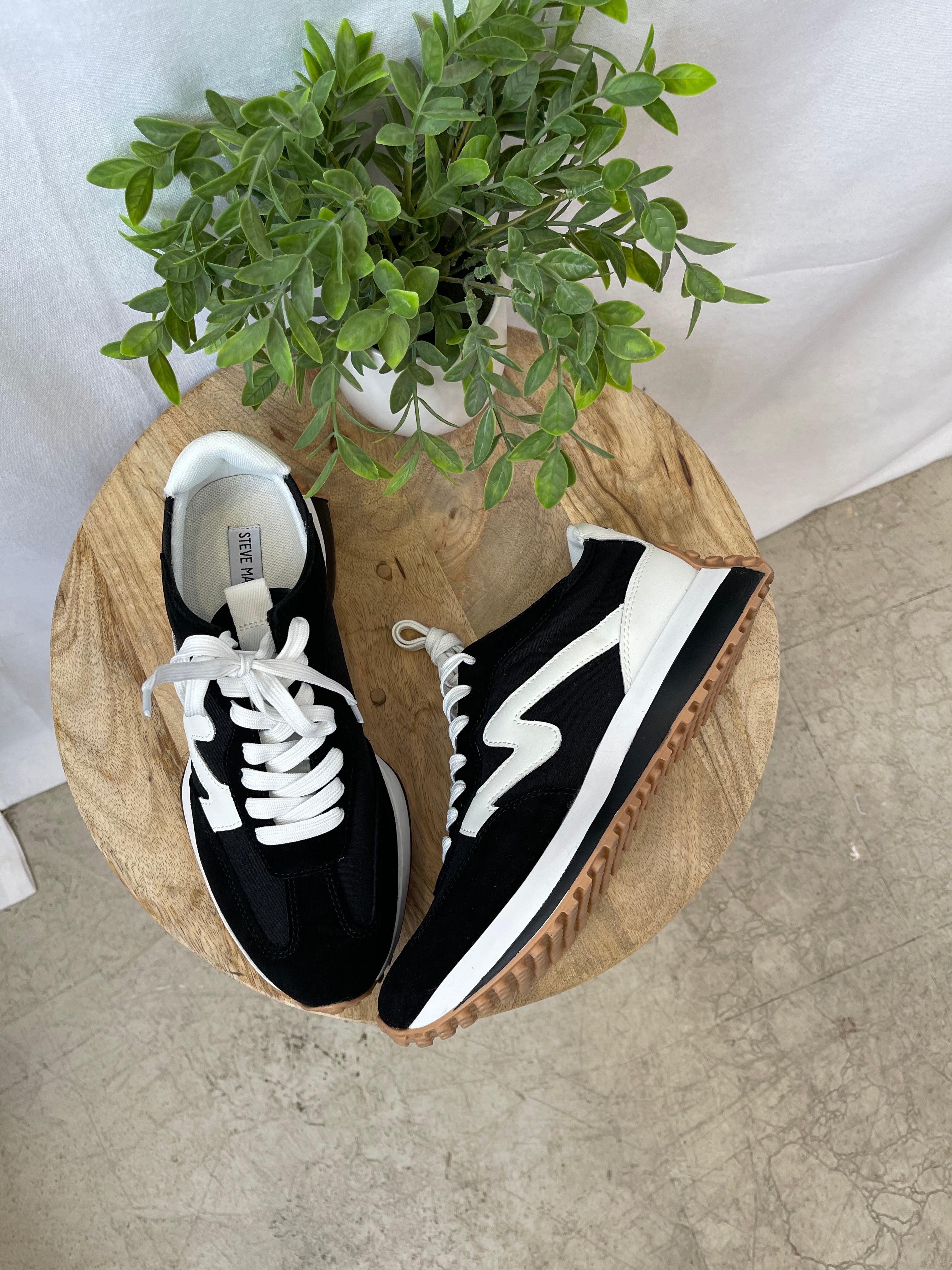 Steve Madden Campo Black White Sneaker-Sneakers-steve madden-The Silo Boutique, Women's Fashion Boutique Located in Warren and Grand Forks North Dakota