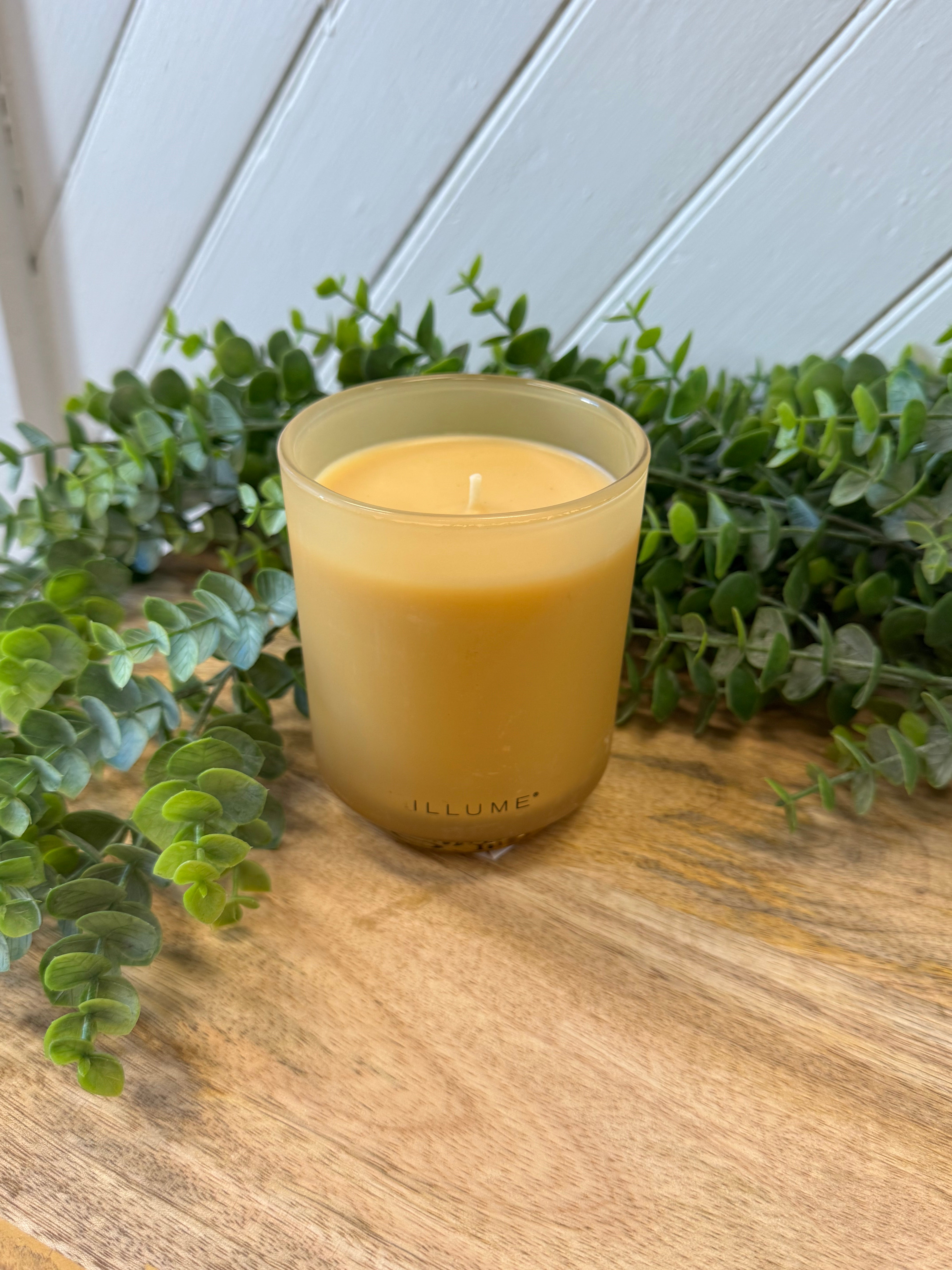 Illume Santal Birch Glass Candle-Candles-Illume-The Silo Boutique, Women's Fashion Boutique Located in Warren and Grand Forks North Dakota
